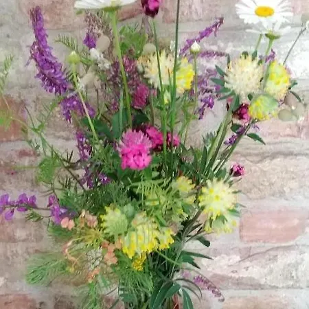 Sobe Gajic Gæstehus