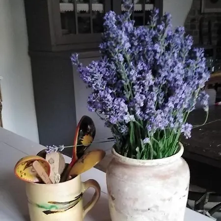 Guest house Sobe Gajic Sremski Karlovci