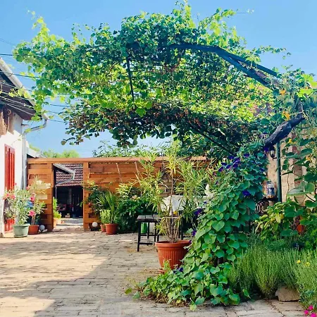 Sobe Gajic Guest house 3*