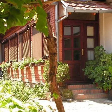 Guest house Sobe Gajic 3*