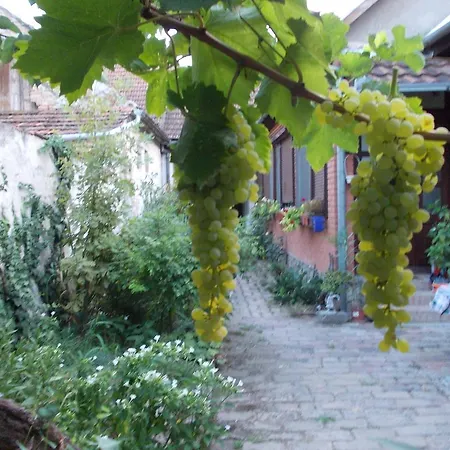 Sobe Gajic Sremski Karlovci