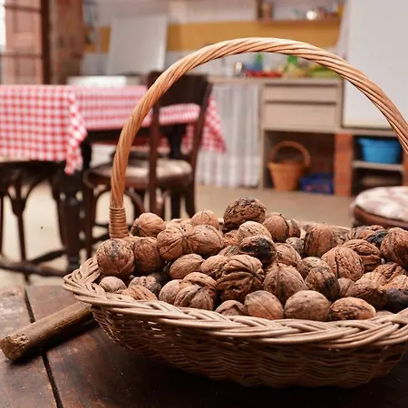 Gæstehus Sobe Gajic