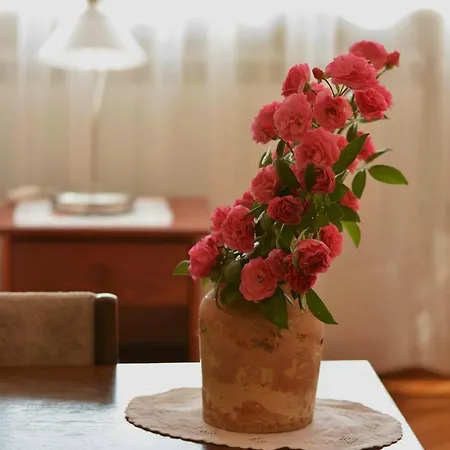 Sobe Gajic Gæstehus Sremski Karlovci