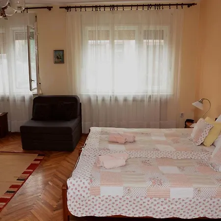 Sobe Gajic Guest house