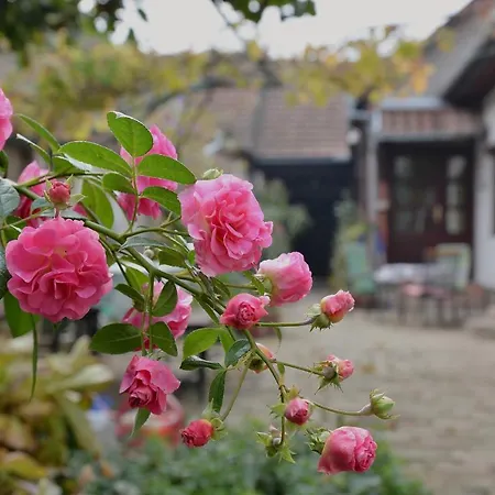 Gæstehus Sobe Gajic 3*