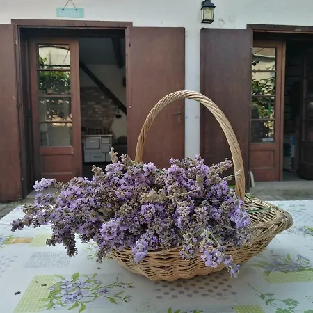 Sobe Gajic Guest house